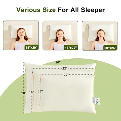 Best Buckwheat Pillow You Can Actually Adjust 3 best buckwheat pillow — APOBUY APOBUY 20x26 Large Organic Buckwheat Pillow with Extra Cotton Pillowcase and Tartary Buckwheat Hulls