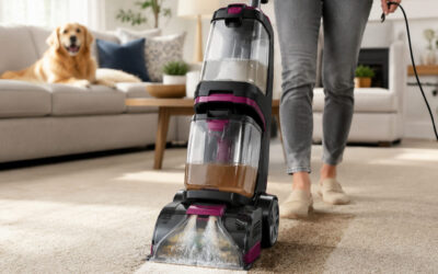 Best Carpet Cleaner for Pets and the Mess They Make