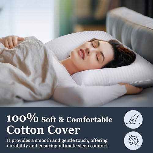 Best Down Pillow and What Fill Power Buys 2 best down pillow — COZSINOOR COZSINOOR Goose Down Feather Pillows Queen Size Set of 2