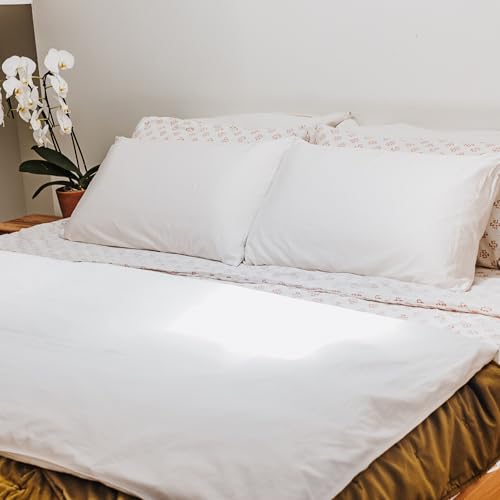 Best Latex Pillow: Talalay, Dunlop and Loft 2 best latex pillow — RejuveNite RejuveNite American Talalay Latex Pillow Set