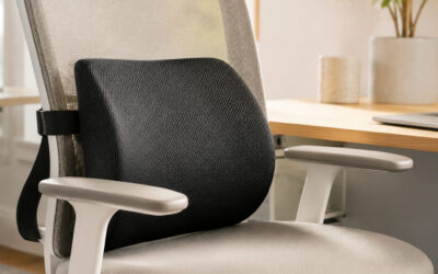 Best Lumbar Support Pillow for Chair and Car