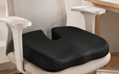 Best Seat Cushion for Sciatica and Sitting All Day